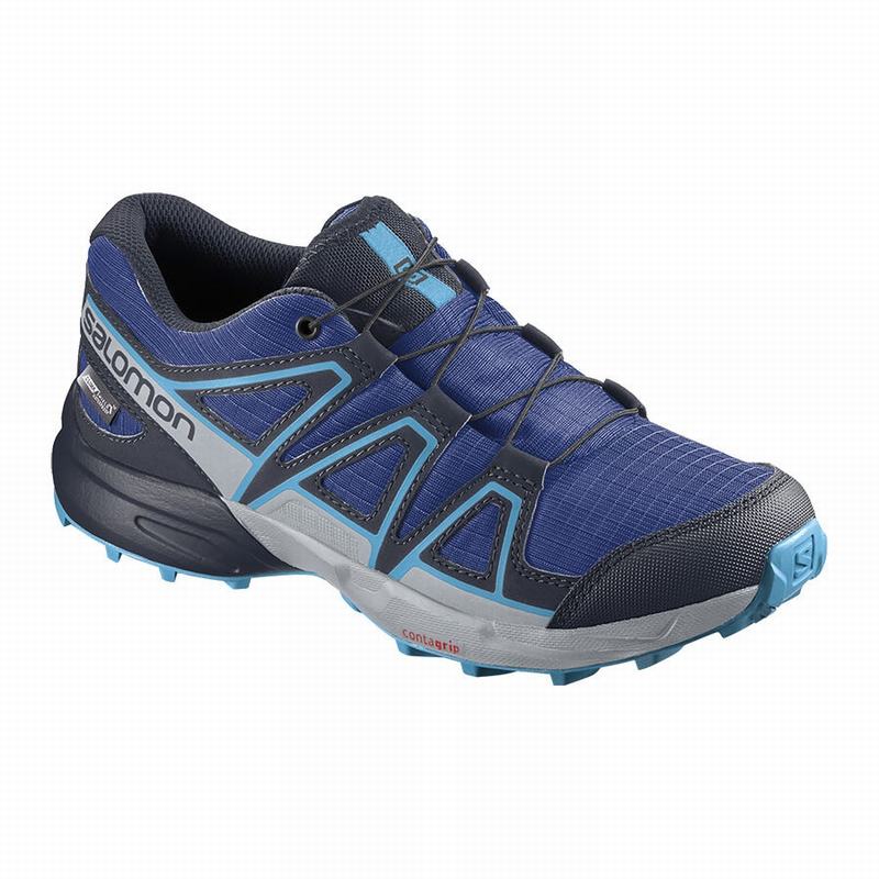 Buty Do Biegania W Terenie Dziecięce Salomon SPEEDCROSS CLIMASALOMON™ WODOODPORNY - Granatowe / Nieb